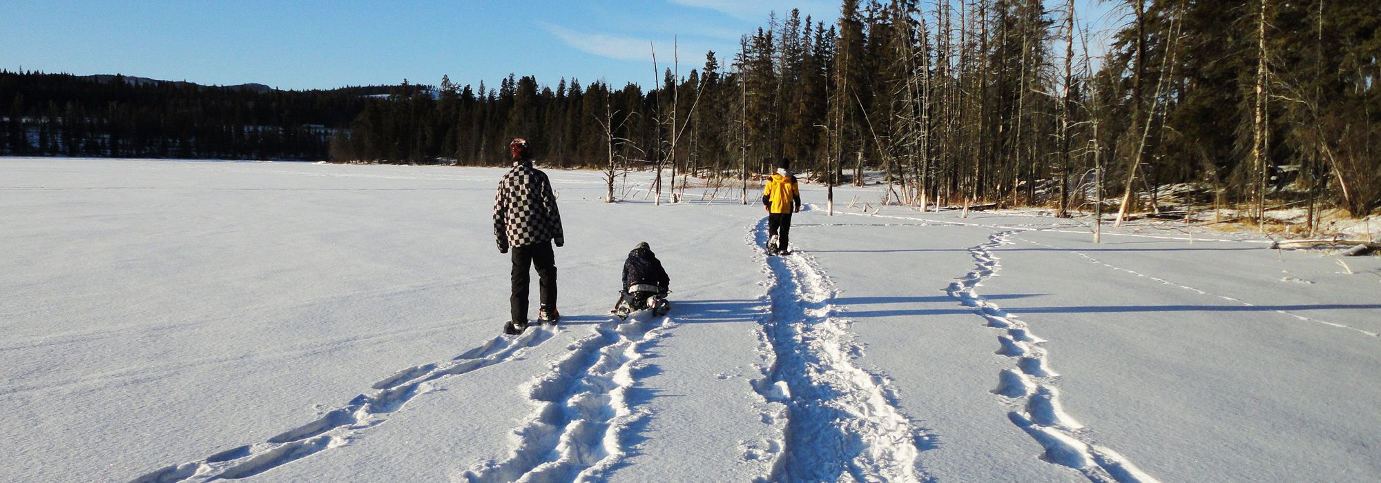 Attention Snowshoers