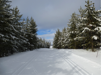 Numerous LOOPS and ROUTES, offering a fabulous variety of skiing and snowshoeing options.