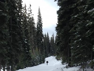 A close encounter of the moose kind for one of our school groups! 