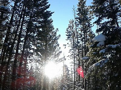 On the Bushwacker snowshoe trail - Thanks Matt.